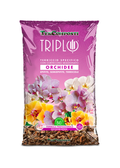 ORCHIDEE