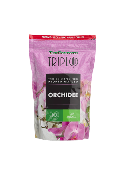 orchidee