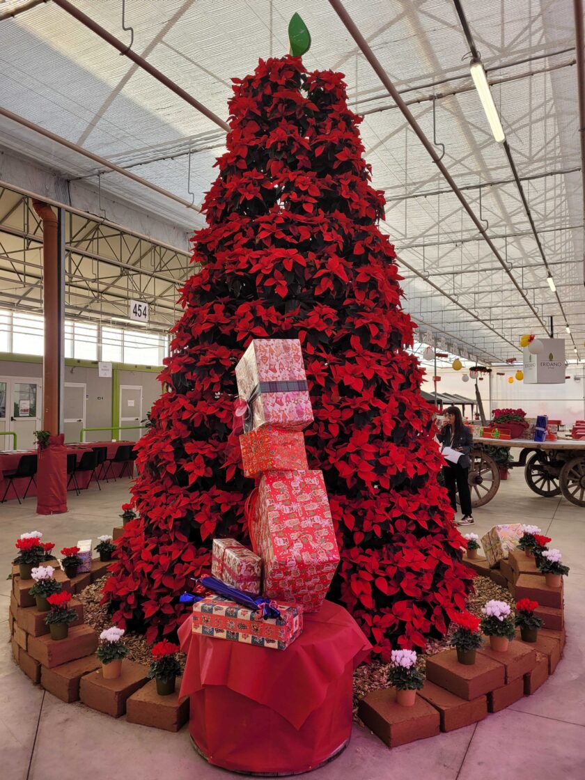 tercomposti all' evento 2025 eridano expo