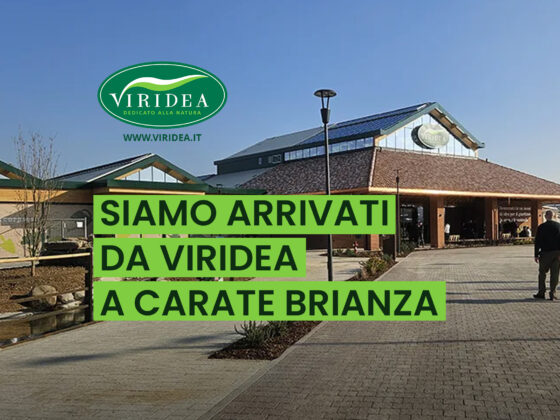 tercomposti da viridea carate brianza